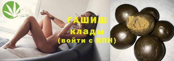 хмурый Аркадак
