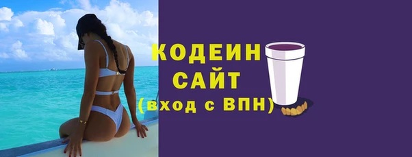 хмурый Аркадак