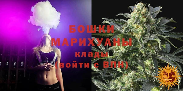 хмурый Аркадак