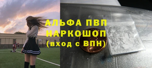 стафф Арсеньев